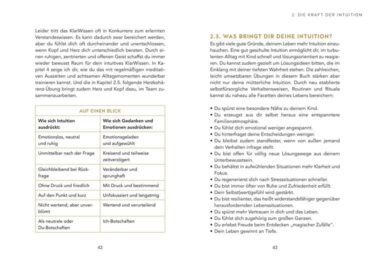 Produktbild: Intuitives Muttersein