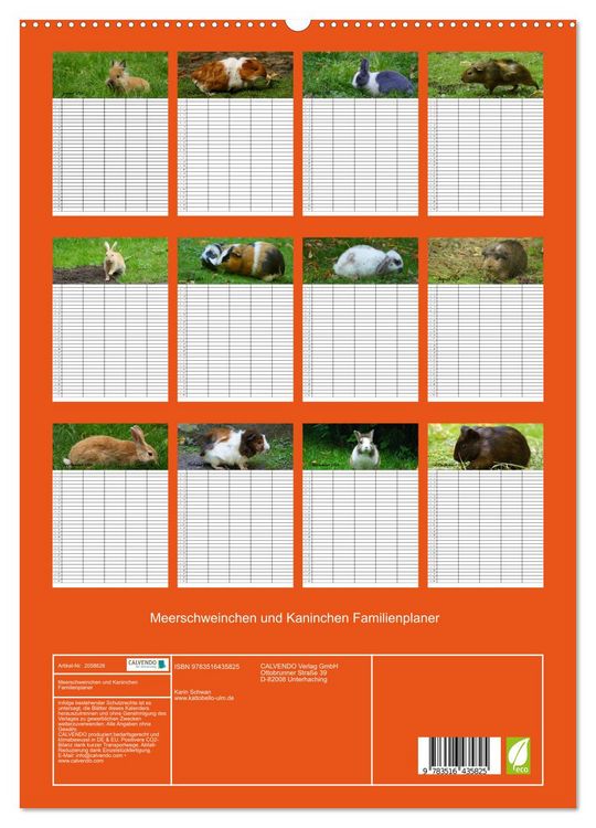 Produktbild: Meerschweinchen und Kaninchen Familienplaner (hochwertiger Premium Wandkalender 2026 DIN A2 hoch), Kunstdruck in Hochglanz