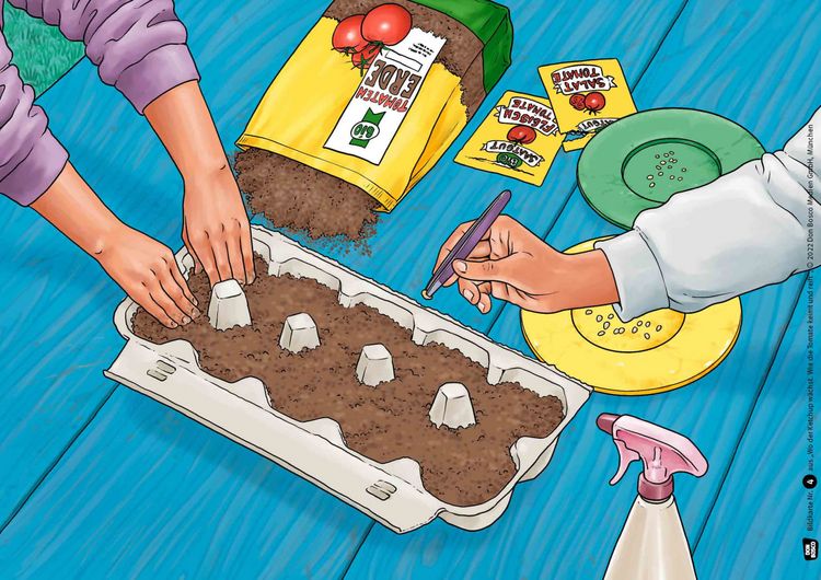 Produktbild: Wo der Ketchup w&auml;chst. Wie die Tomate keimt und reift. Kamishibai Bildkartenset