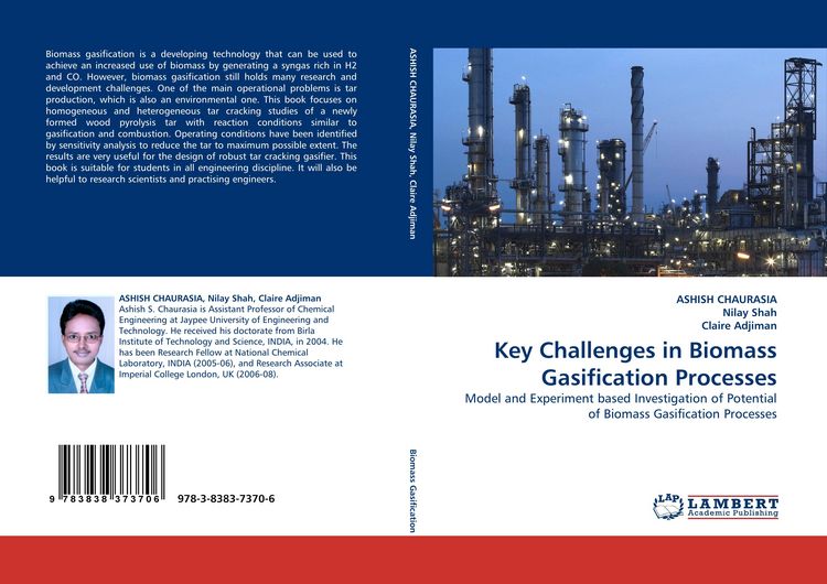 Produktbild: Key Challenges in Biomass Gasification Processes