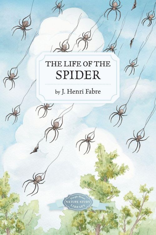 Produktbild: The Life of the Spider