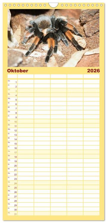 Produktbild: Familienplaner 2026 - Vogelspinnen mit 5 Spalten (Wandkalender, 21 x 45 cm) CALVENDO