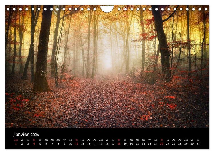 Produktbild: BROCELIANDE, la for&ecirc;t (Calendrier mural 2026 DIN A4 vertical), CALVENDO calendrier mensuel