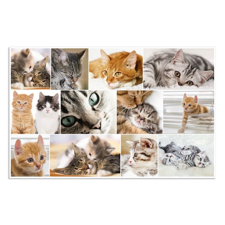 Produktbild: HERMA Schreibtischunterlage Katzen 55x35cm