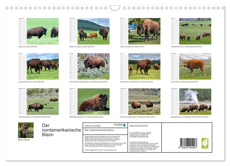 Produktbild: Der nordamerikanische Bison (Wandkalender 2026 DIN A3 quer), CALVENDO Monatskalender