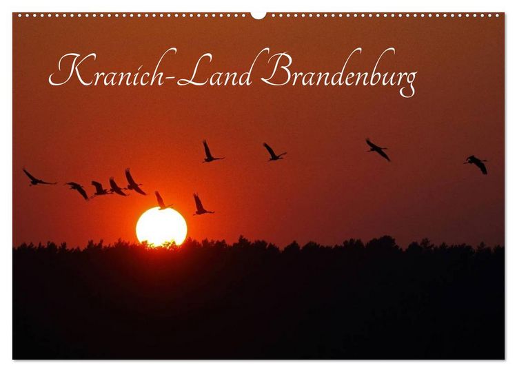 Produktbild: Kranich-Land Brandenburg (Wandkalender 2026 DIN A2 quer), CALVENDO Monatskalender