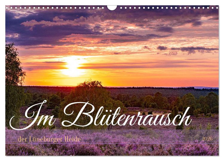 Produktbild: Im Bl&uuml;tenrausch der L&uuml;neburger Heide (Wandkalender 2026 DIN A3 quer), CALVENDO Monatskalender