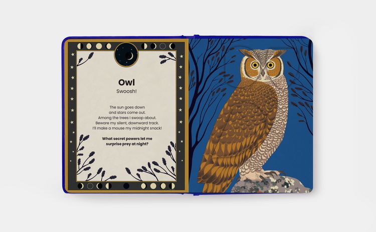 Produktbild: The Secret Powers of Animals