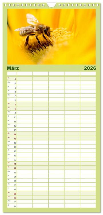 Produktbild: Familienplaner 2026 - Die Welt der flei&szlig;igen Bienen mit 5 Spalten (Wandkalender, 21 x 45 cm) CALVENDO