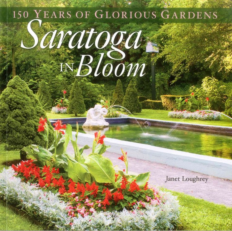 Produktbild: Saratoga in Bloom