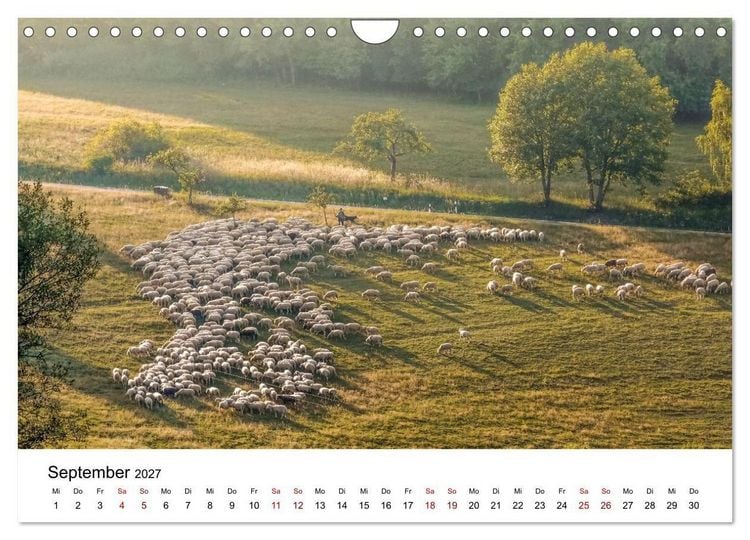 Produktbild: Taunus - Traumhafte W&auml;lder und romantische Orte (Wandkalender 2027 DIN A4 quer), CALVENDO Monatskalender