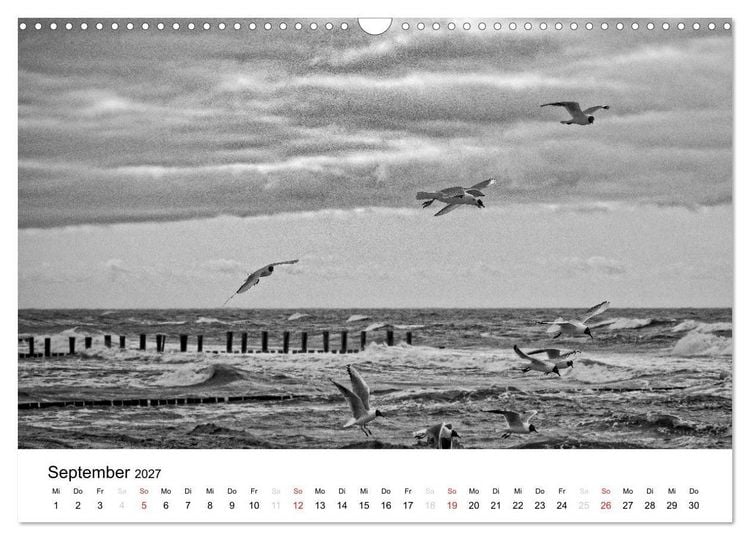 Produktbild: Ostseebad Zingst - Impressionen in Schwarz-Wei&szlig; (Wandkalender 2027 DIN A3 quer), CALVENDO Monatskalender