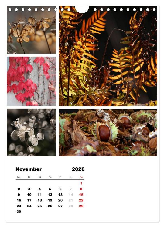 Produktbild: Bl&uuml;ten Collagen (Wandkalender 2026 DIN A4 hoch), CALVENDO Monatskalender