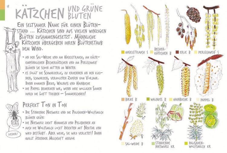 Produktbild: Ich sehe was, was ich nicht kenn&acute;