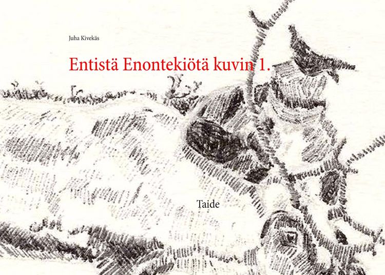 Produktbild: Entist&auml; Enonteki&ouml;t&auml; kuvin 1.