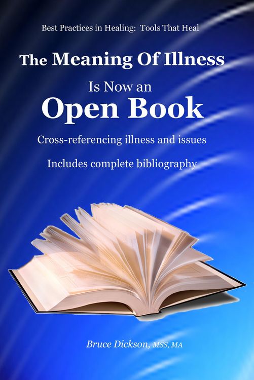 Produktbild: The Meaning of Illness is Now an Open Book, Cross-referencing Illness and Issues