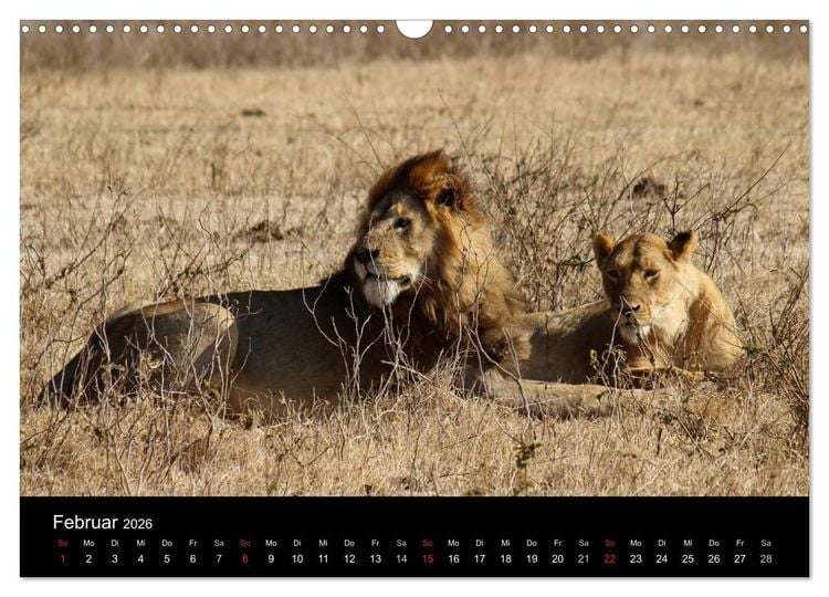 Produktbild: Tansania (Wandkalender 2026 DIN A3 quer), CALVENDO Monatskalender