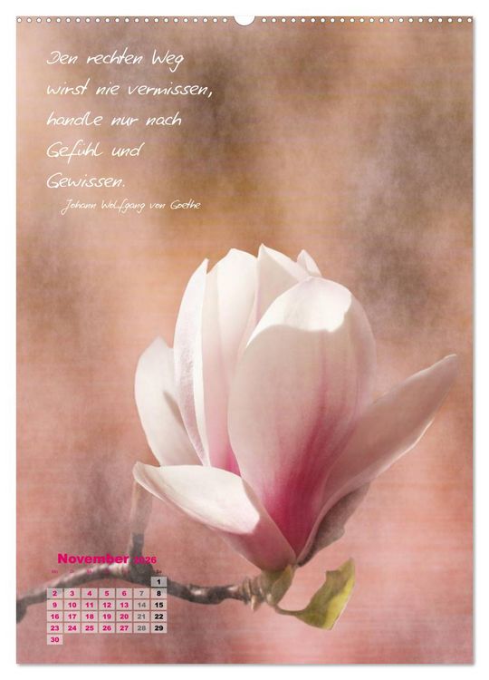 Produktbild: Blumen & Zitate (Wandkalender 2026 DIN A2 hoch), CALVENDO Monatskalender