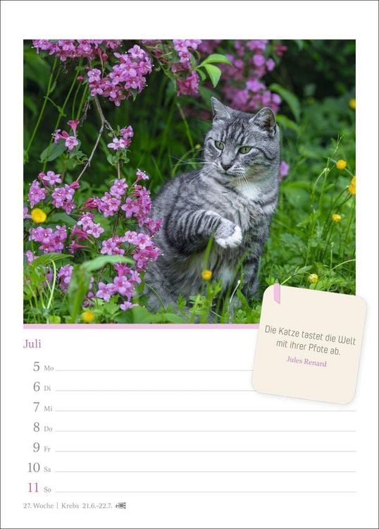 Produktbild: Katzengl&uuml;ck Wochenkalender 2027 - mit Zitaten