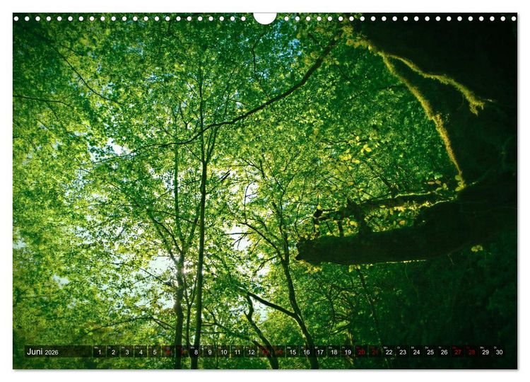 Produktbild: Slowenien - Soca Tal (Wandkalender 2026 DIN A3 quer), CALVENDO Monatskalender