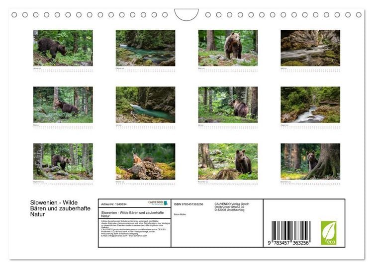 Produktbild: Slowenien - Wilde B&auml;ren und zauberhafte Natur (Wandkalender 2026 DIN A4 quer), CALVENDO Monatskalender
