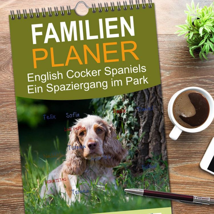 Produktbild: Familienplaner 2026 - English Cocker Spaniels - Ein Spaziergang im Park mit 5 Spalten (Wandkalender, 21 x 45 cm) CALVENDO