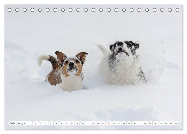 Produktbild: Emotionale Momente: Wild und Jagd. (Tischkalender 2026 DIN A5 quer), CALVENDO Monatskalender
