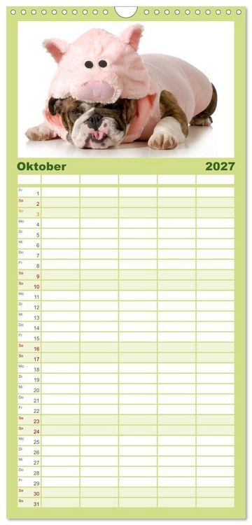 Produktbild: Familienplaner 2027 - English Bulldog XXL Models mit 5 Spalten (Wandkalender, 21 x 45 cm) CALVENDO