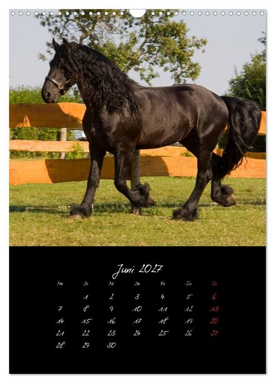 Produktbild: Tiere (Wandkalender 2027 DIN A3 hoch), CALVENDO Monatskalender