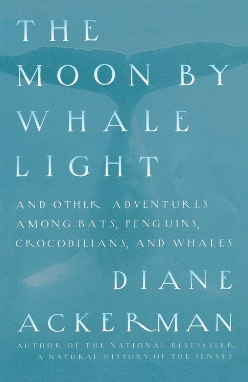 Produktbild: Moon By Whale Light