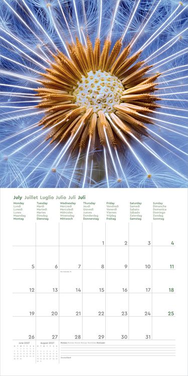 Produktbild: Wunderwerk Natur &ndash; Bizarre Strukturen - KUNTH Broschurkalender 2027