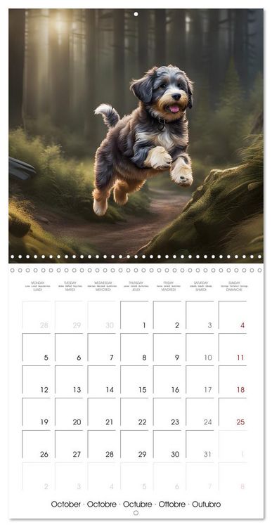 Produktbild: Aussiedoodle - Dogs to love (Wall Calendar 2026 12 &times; 12 Inch) CALVENDO 12 Month Wall Calendar