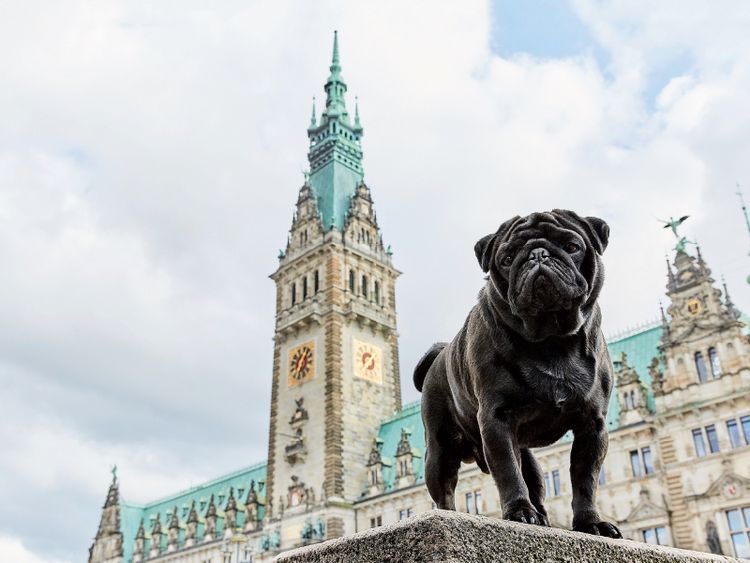 Produktbild: CALVENDO Puzzle Ein Motiv aus dem Kalender Hamburg - Stadt der M&ouml;pse | 1000 Teile Lege-Gr&ouml;&szlig;e 64x48cm Foto-Puzzle f&uuml;r gl&uuml;ckliche Stunden