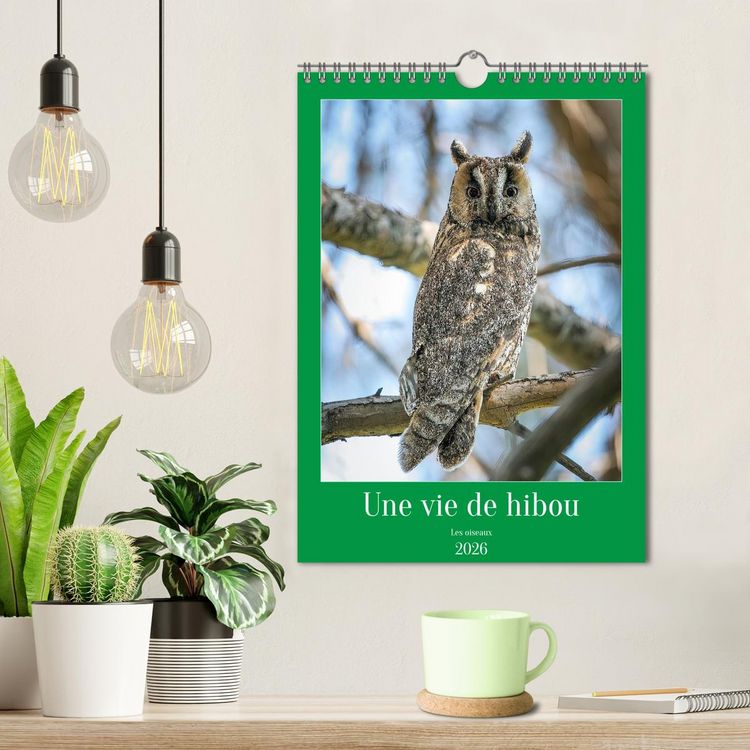 Produktbild: Une vie de hibou les oiseaux (Calendrier mural 2026 DIN A4 horizontal), CALVENDO calendrier mensuel