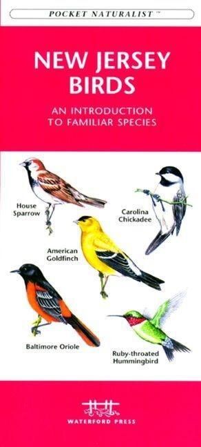 Produktbild: Caribbean Birds