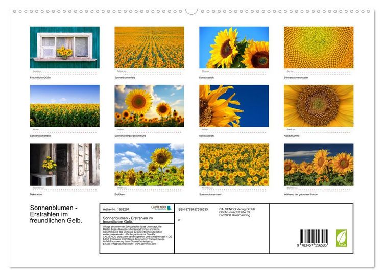 Produktbild: Sonnenblumen - Erstrahlen im freundlichen Gelb. (hochwertiger Premium Wandkalender 2026 DIN A2 quer), Kunstdruck in Hochglanz