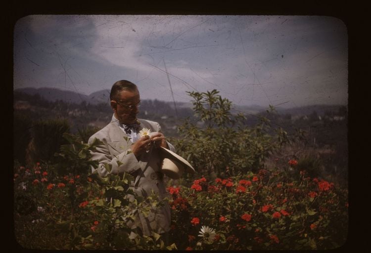Produktbild: Bekenntnisse des Hochstaplers Thomas Mann