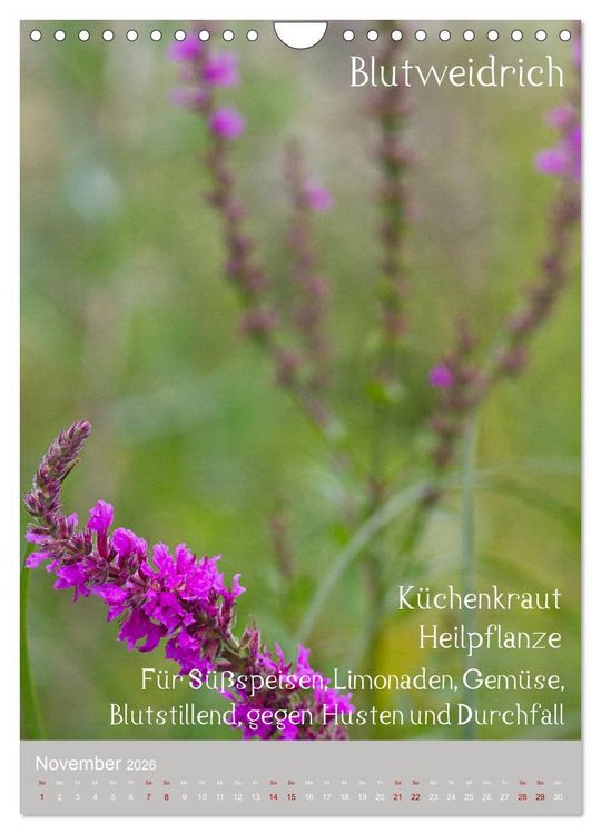 Produktbild: Unkr&auml;uter - N&uuml;tzliche Wildpflanzen auf der Wiese (Wandkalender 2026 DIN A4 hoch), CALVENDO Monatskalender