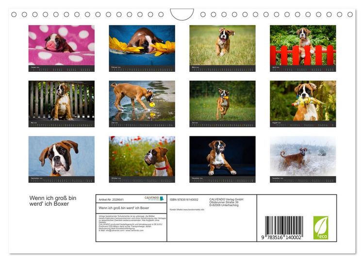 Produktbild: Wenn ich gro&szlig; bin werd' ich Boxer (Wandkalender 2026 DIN A4 quer), CALVENDO Monatskalender