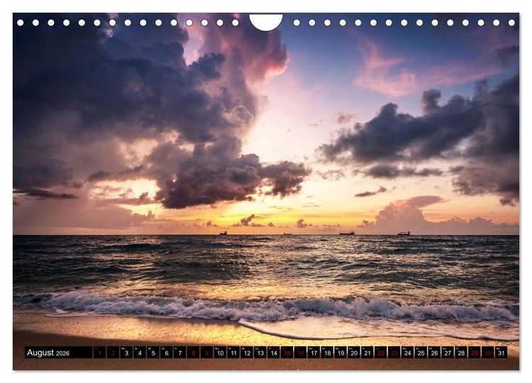 Produktbild: Florida. Der Sonne entgegen. (Wandkalender 2026 DIN A4 quer), CALVENDO Monatskalender