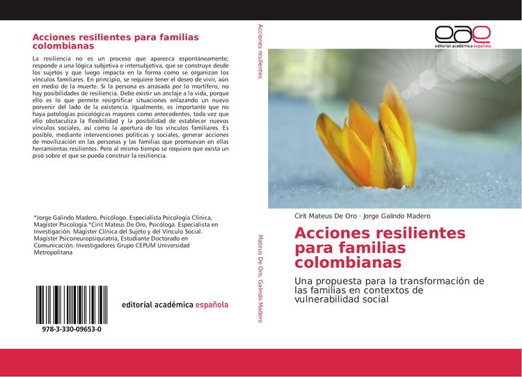 Produktbild: Acciones resilientes para familias colombianas