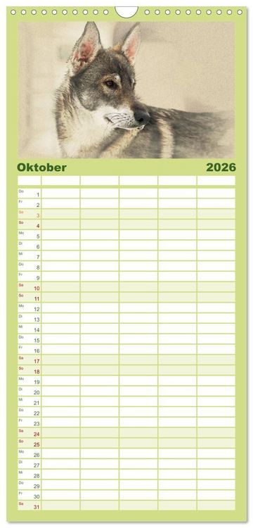 Produktbild: Familienplaner 2026 - Schlittenhunde 2026 mit 5 Spalten (Wandkalender, 21 x 45 cm) CALVENDO