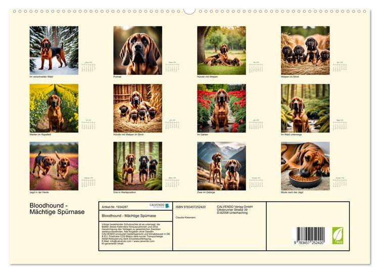 Produktbild: Bloodhound - M&auml;chtige Sp&uuml;rnase (hochwertiger Premium Wandkalender 2026 DIN A2 quer), Kunstdruck in Hochglanz