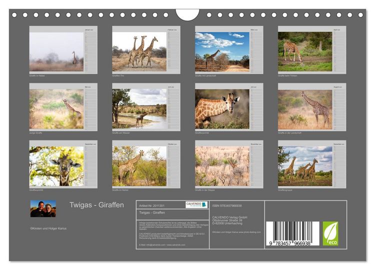 Produktbild: Twigas - Giraffen (Wandkalender 2026 DIN A4 quer), CALVENDO Monatskalender