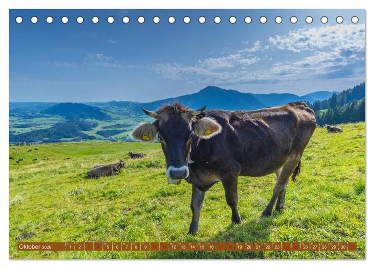 Produktbild: Allg&auml;uer Sch&ouml;nheiten Allg&auml;u - Land der K&uuml;he (Tischkalender 2026 DIN A5 quer), CALVENDO Monatskalender