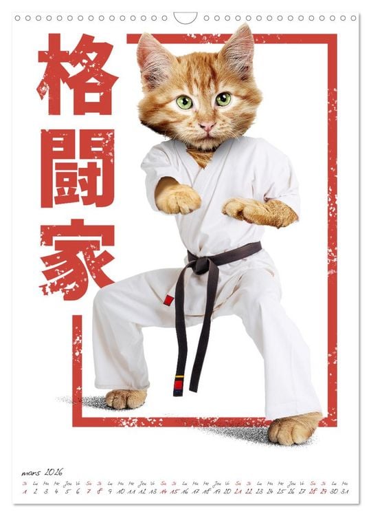 Produktbild: Combattant animal (Calendrier mural 2026 DIN A3 horizontal), CALVENDO calendrier mensuel