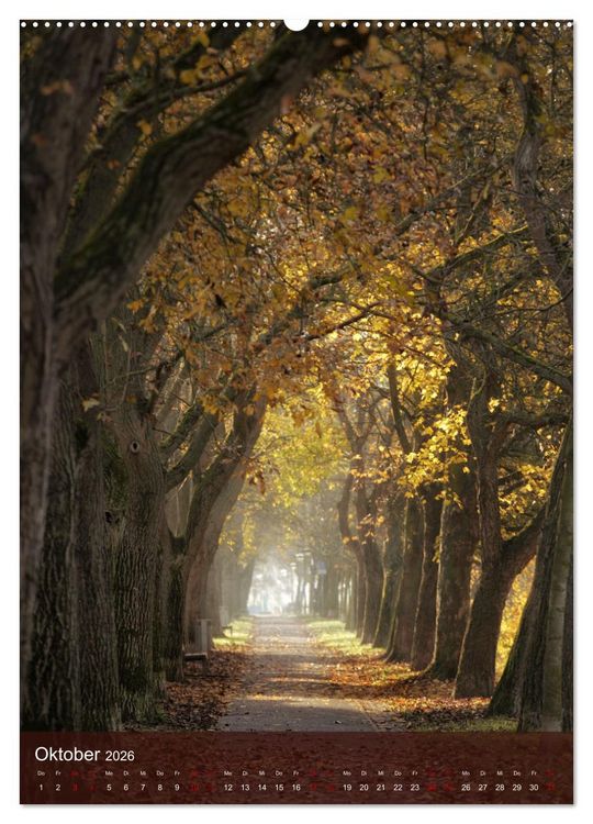 Produktbild: Klimaretter Baum (Wandkalender 2026 DIN A2 hoch), CALVENDO Monatskalender
