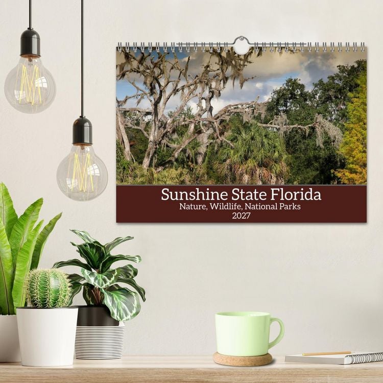 Produktbild: Sunshine State Florida Nature, Wildlife, National Parks (Wall Calendar 2027 DIN A4 landscape), CALVENDO 12 Month Wall Calendar