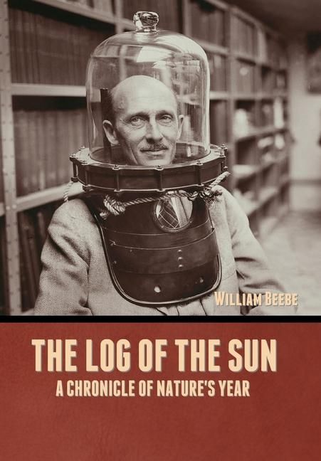 Produktbild: The Log of the Sun