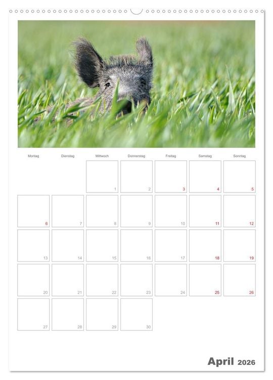 Produktbild: Rehe & Co / Planer (Wandkalender 2026 DIN A2 hoch), CALVENDO Monatskalender
